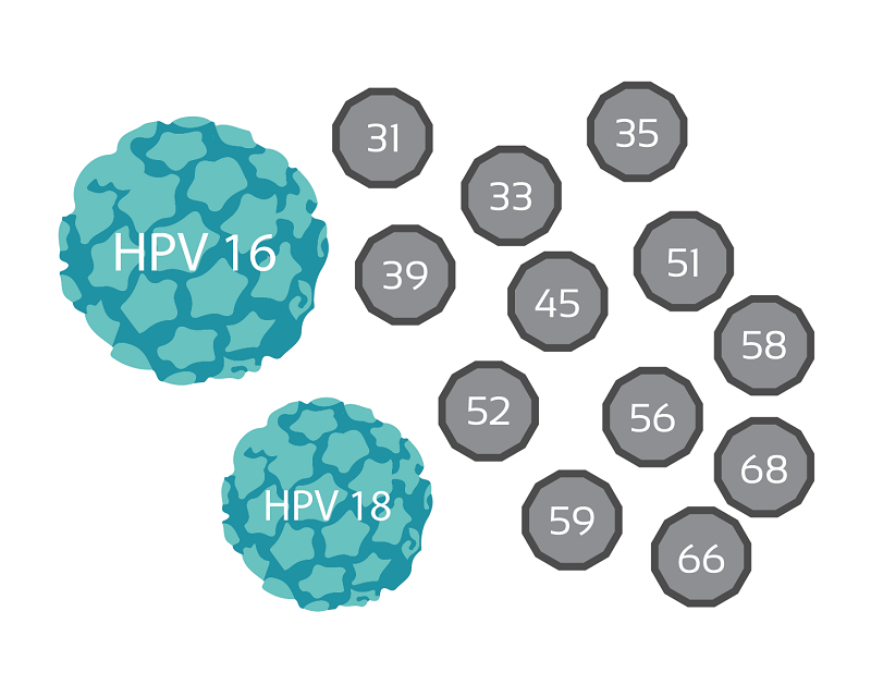 Hpv 16 18. Hpv 16 18