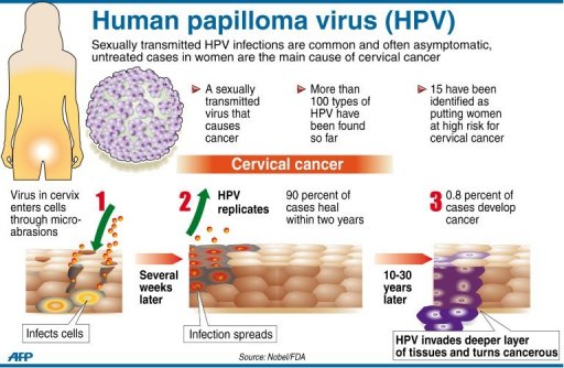 زنان بیشتر قربانی HPV میشوند / ایدز برادر دوقلو دارد! ویروس زگیل تناسلی ویروس پاپیلوم انسانی عکس رابطه جنسی رابطه جنسی درمان ایدز جلوگیری از ایدز پیش گیری ایدز انتقال ایدز